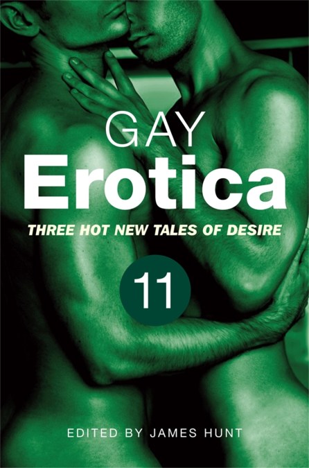 Gay Erotica, Volume 11