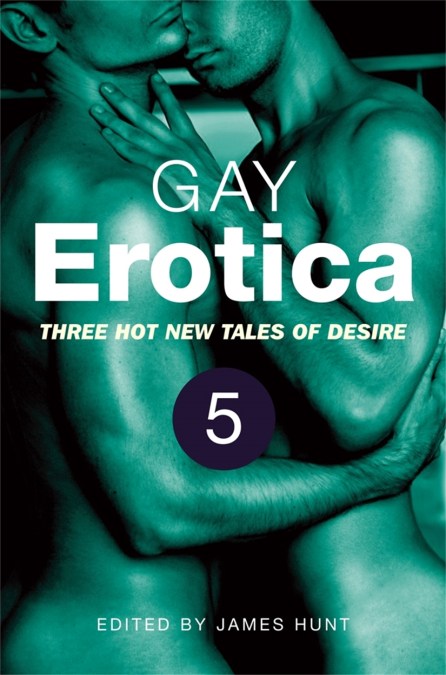 Gay Erotica, Volume 5