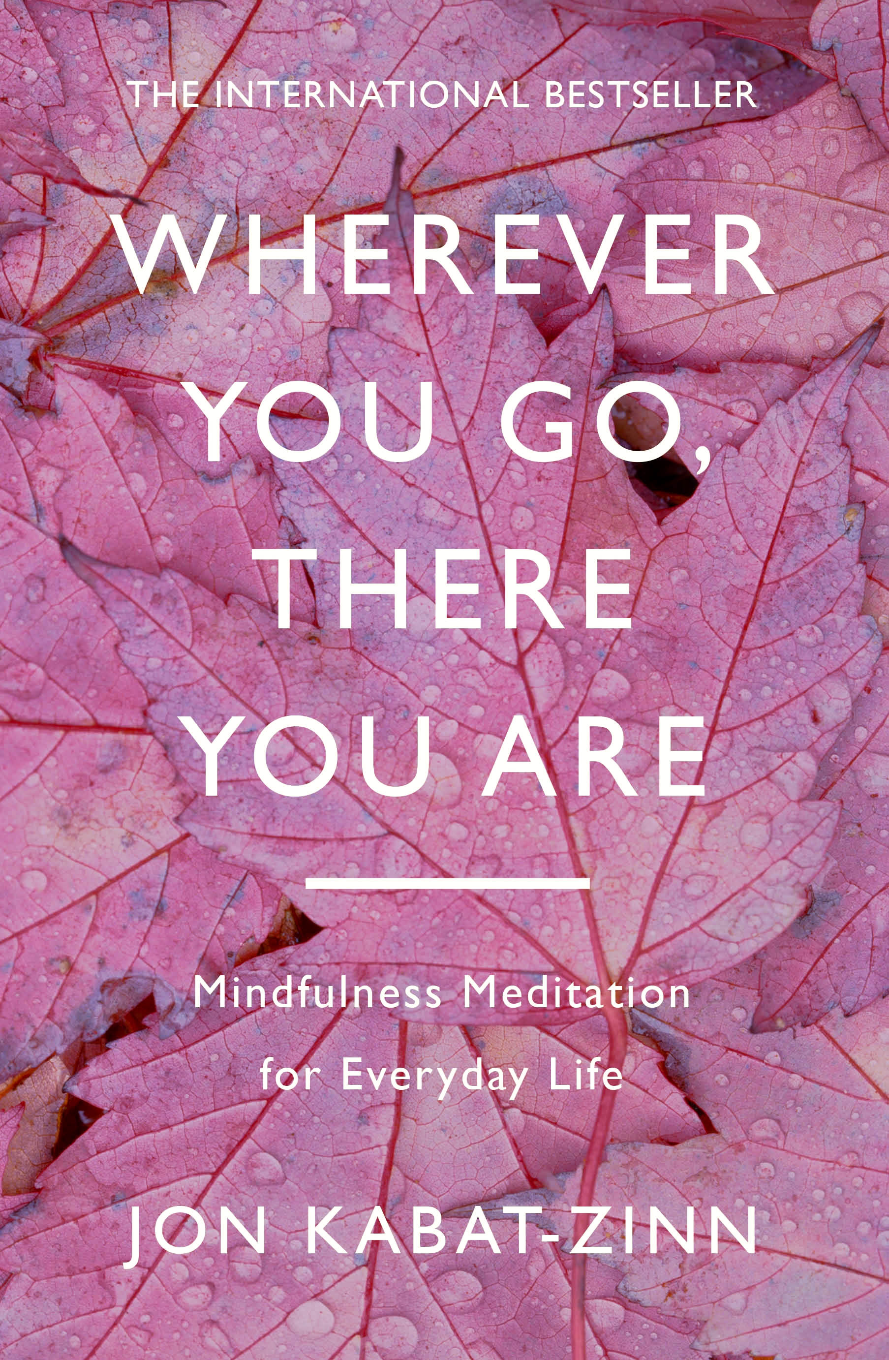 Wherever You Go, There You Are by Jon KabatZinn Hachette UK