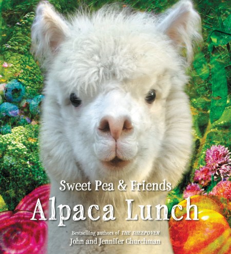 Alpaca Lunch