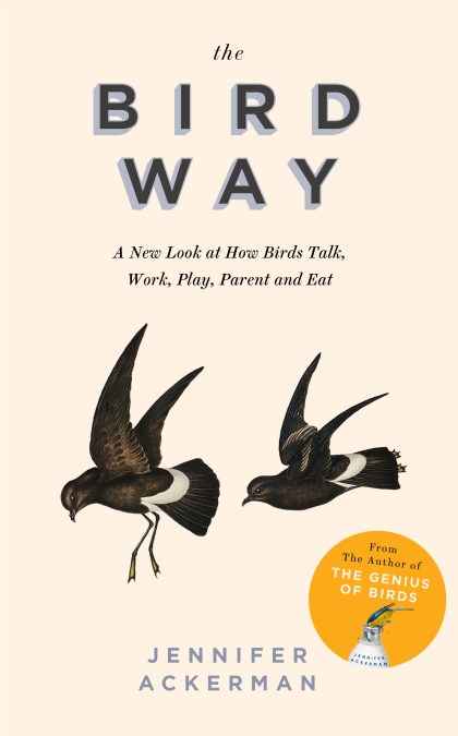 The Bird Way