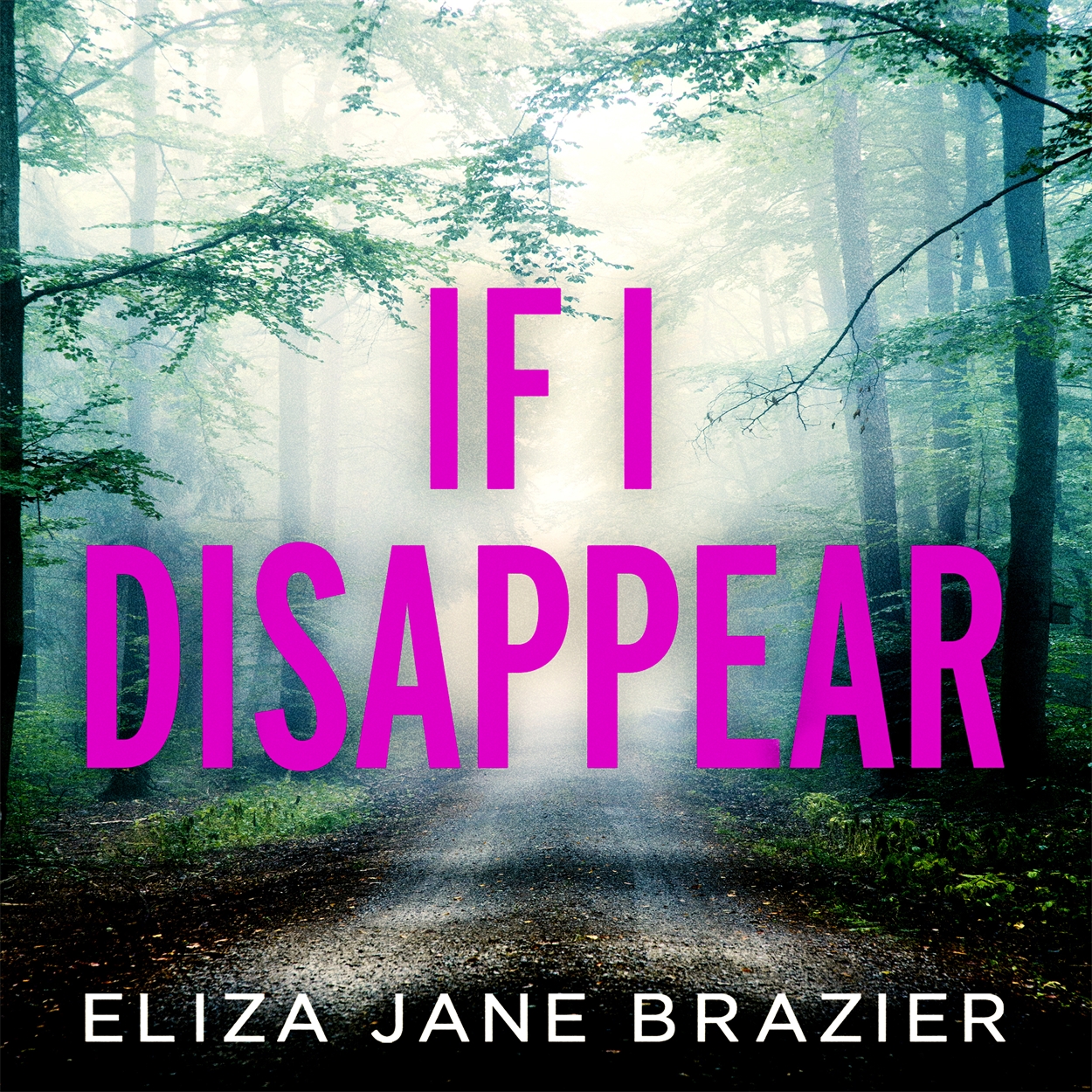 if i disappear by eliza jane brazier if i disappear by eliza jane brazier