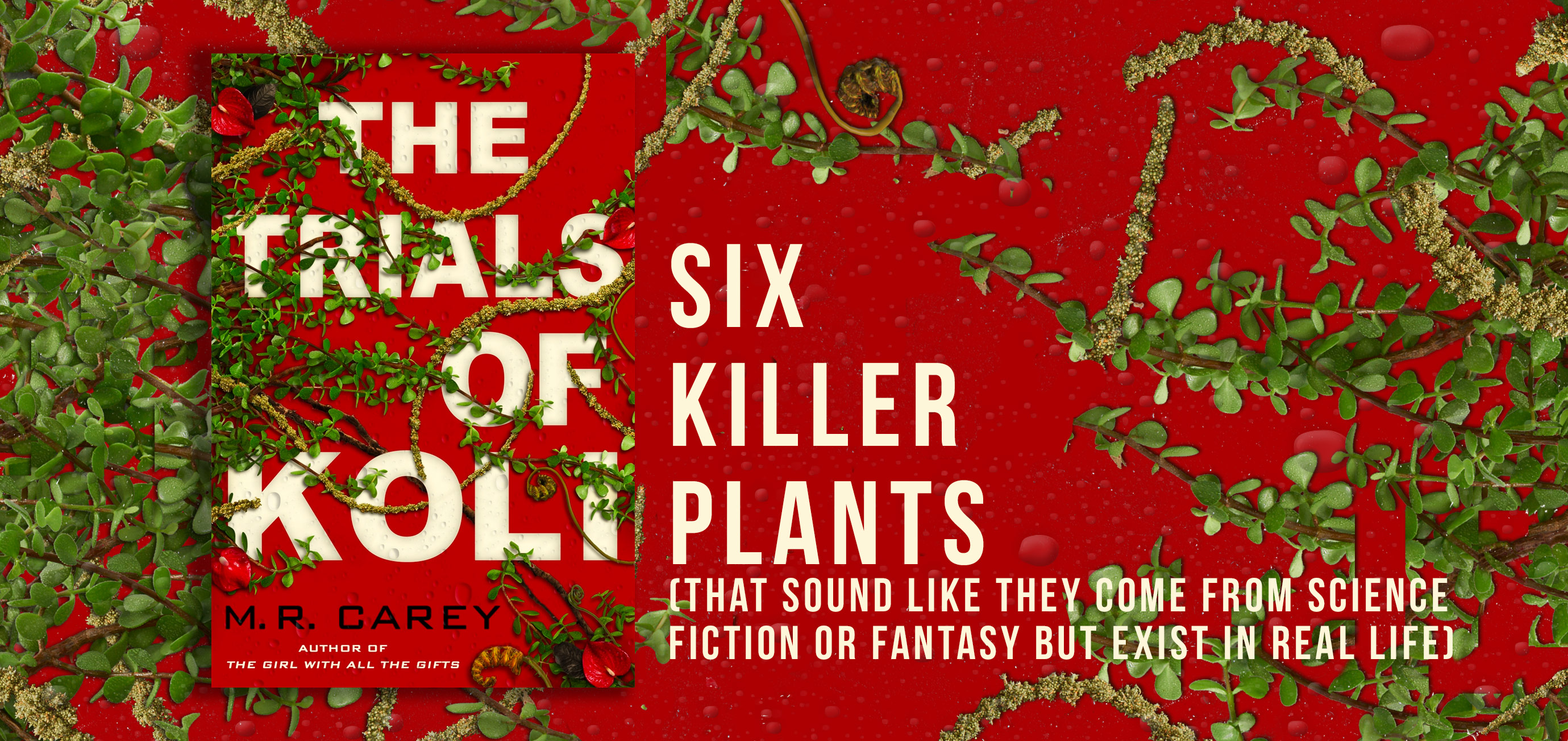 Six killer plants (that sound like they come from science fiction or  fantasy but exist in real life) | Hachette UK